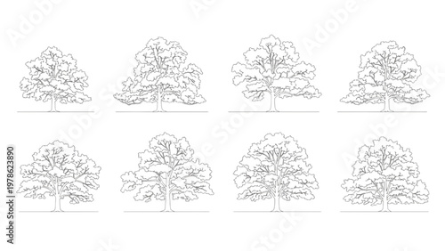 Collection of outline drawings of various deciduous trees