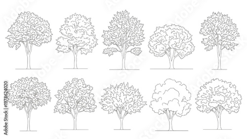 Collection of Various Styles of Detailed Tree Illustrations for Artistic and Design Purposes