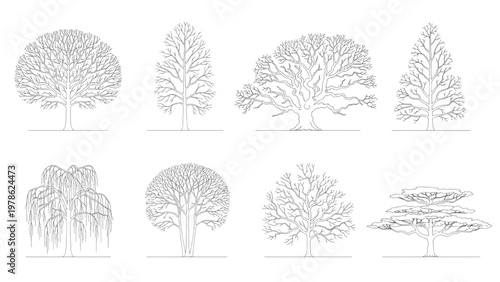 Collection of various deciduous and evergreen tree line art illustrations