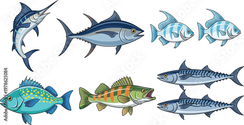 Ocean Fish Vector Set with Tuna Marlin Mackerel and Tropical Species in Detailed Side View for Marine Wildlife Seafood and Fishing Illustration Design