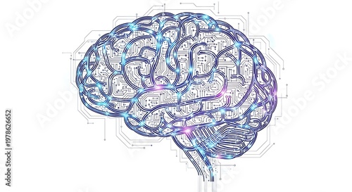 Human Brain Anatomy Neuroscience Illustration.