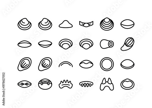 Freshwater shell anatomy with hinged valves, umbo, ligament, adductor muscles and internal shell structures clean monoline outline