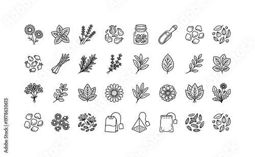 Herbal teas with loose leaf blends, dried herbs, flower infusions, fruit teas, and tea bag assortments clean monoline outline icon