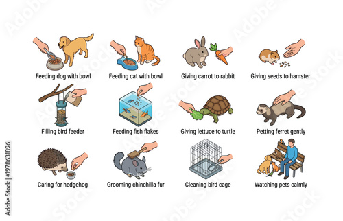Feeding dog with bowl, feeding cat with bowl, giving carrot to rabbit, giving seeds to hamster, filling bird feeder, feeding fish