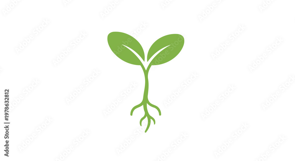 Obraz premium Green plant sprout with leaves growing.