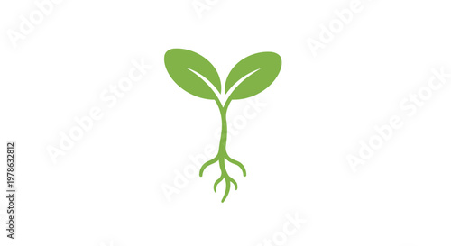 Green plant sprout with leaves growing.