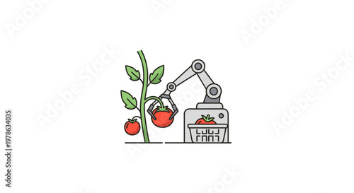 Robot picking tomato from plant.