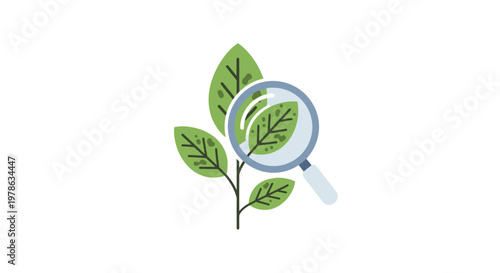 Magnifying glass over green leaves.