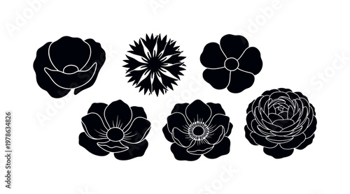 Poppy flower open cup shape petals, cornflower spiky petal bloom form, buttercup flower rounded simple petals, anemone flower