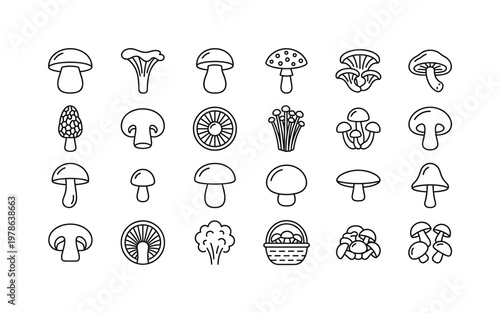 Mushroom foraging with forest mushrooms, boletus caps, chanterelles, porcini, fly agaric and gathered wild fungi clean monoline