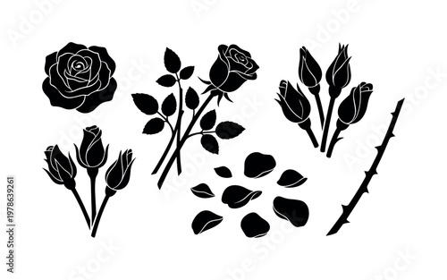 Rose bouquet components including rose flower heads, rose stems with leaves, rose buds closed, rose petals scattered, thorny rose