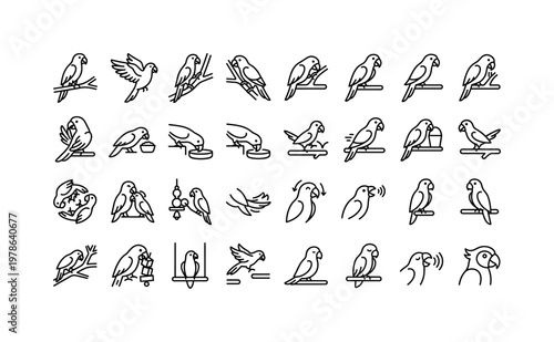 Parrot activities with perching, climbing, preening, feeding, socializing, and playful behaviors clean monoline outline icon set