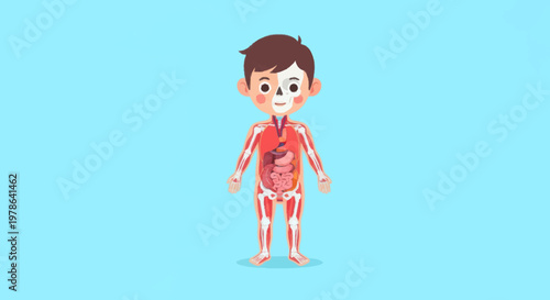 Cartoon boy showing internal organs and skeletal system.