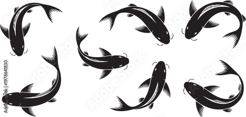 Collection of koi fish silhouettes in various swimming positions. Silhouette  vector illustration with out background.