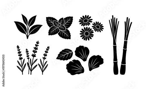 Tea leaves with herbs including mint leaves, chamomile flowers, lavender sprigs, hibiscus petals, lemongrass stalks, bold black