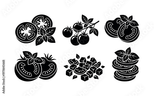 Tomato and basil combinations including tomato slices with basil leaves, cherry tomatoes with basil sprigs, tomato halves with