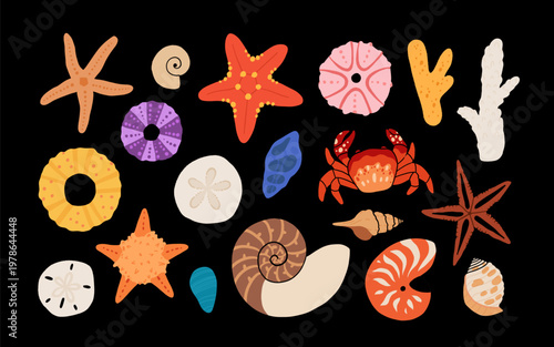 Seashells and sea creatures collection illustration set, starfish, nautilus, crab, coral, urchin, dark background ocean nature