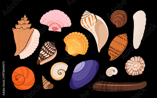 Seashells and sea creatures collection illustration set, starfish, nautilus, crab, coral, urchin, dark background ocean nature