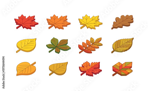 Maple leaf red, maple leaf orange, maple leaf yellow, oak leaf brown, birch leaf yellow, chestnut leaf, rowan leaf, elm leaf,