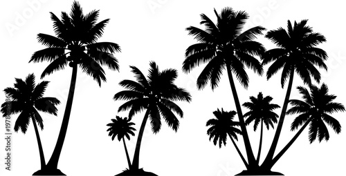 tropical coconut, palm tree silhouette
