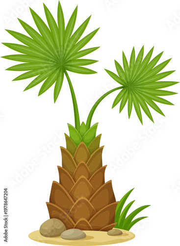 Cartoon tropical palm tree. Vector exotic island plant with natural foliage, fan shaped green leaves, textured brown trunk, sand, stones and grass. Isolated tropical vegetation, rainforest landscape