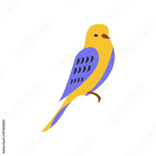 Cute Yellow and Blue Budgie Illustration