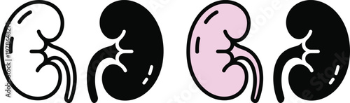 Kidney organ icon set with human anatomy symbols in flat and colorful styles for medical healthcare design