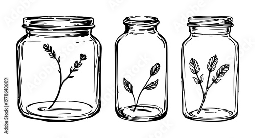 Vintage glass specimen jar set with rough sketchy art featuring a single jar, glassware illustration with line art and white background