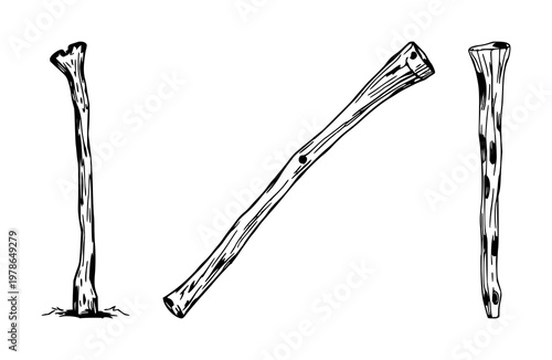 Hand-inked organic art set with detailed carved wooden walking stick on white background featuring hand-inked, organic, wooden walking stick with illustration and vector