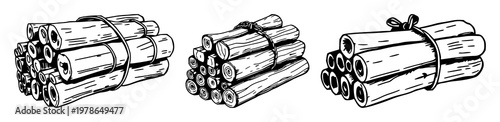 Firewood bundle set with sketchy organic art featuring firewood, twine, rustic, sketch, organic with white background and natural texture