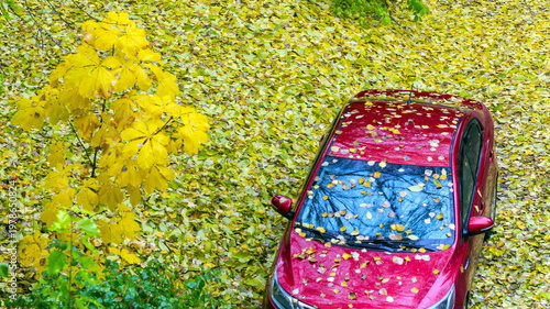 Red car covered with leaves in late autumn, top view
