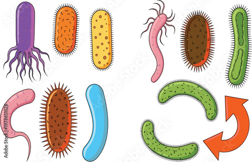 Diverse Bacteria and Microorganism Illustration Set with Various Germs, Viruses, and Pathogens for Medical Research, Science Education, Healthcare Information, and Laboratory Graphic Design Projects