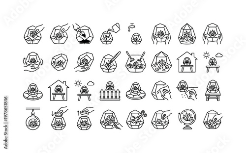 Glass terrarium usage with planting, watering, arranging, rotating, decorating, cleaning, and displaying plants clean monoline