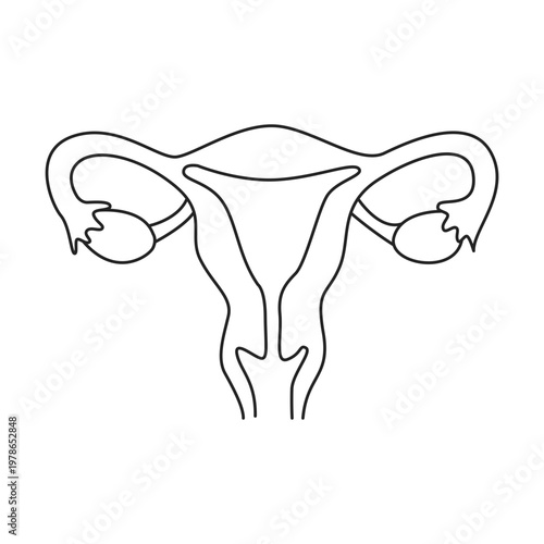 Female Reproductive System Icon