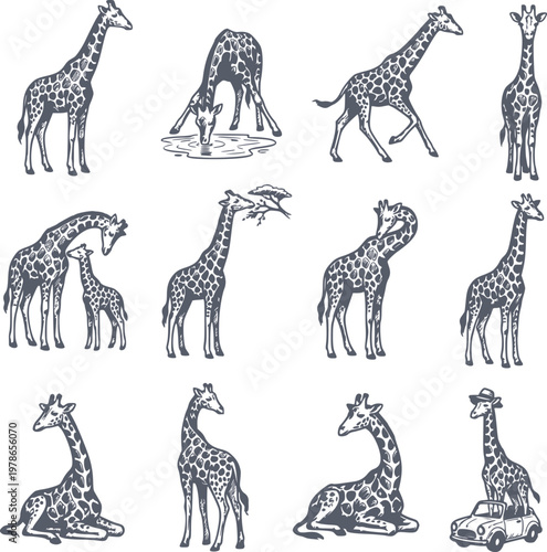 hand drawn giraffe collection in navy blue fill featuring various actions like drinking and walking with no white fills