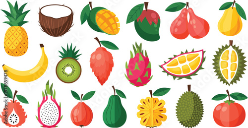 Tropical fruit illustration set with exotic fruits collection including pineapple, mango, dragon fruit, durian and banana, colorful flat vector isolated on transparent background