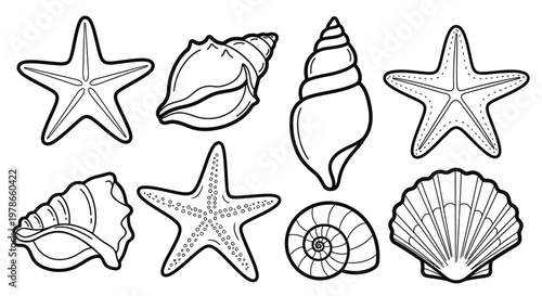 Minimal line art seashells and starfish vector icons, black outline marine shell collection isolated on white, coastal ocean nature doodle set for logos, stickers, web UI