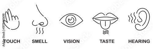 Five Senses Icons: Touch, Smell, Vision, Taste, Hearing - Basic Icons