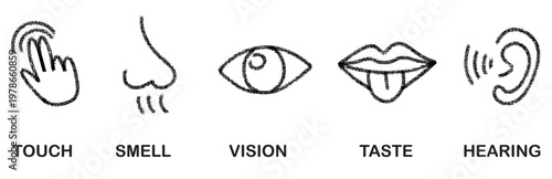 Five Senses Icons: Touch, Smell, Vision, Taste, Hearing - Simple Line Art