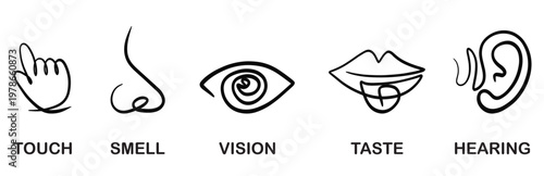 Five Senses Icons: Touch, Smell, Vision, Taste, Hearing - Simple Line Art