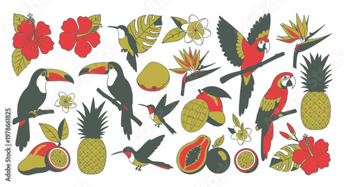 Tropical vector pattern with toucans, parrots and hummingbirds, pineapple and papaya fruit, red hibiscus flowers and palm leaves on white background for summer design