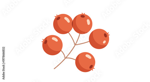 Small cluster of five red rowan berries on a thin brown branch illustrated in a simple flat cartoon style.