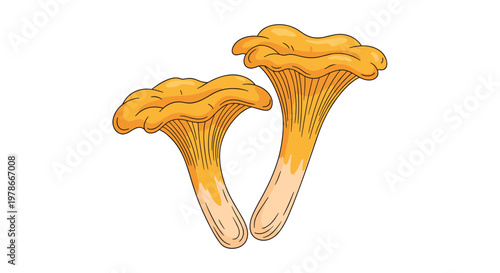 Detailed illustration of two golden chanterelle mushrooms with their characteristic wavy caps and ridged stems on a white background.
