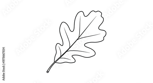 Minimalist black and white line art of a single oak leaf with detailed veins on a clean white background for design.