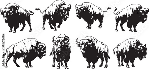Set of eight bison in different poses and angles illustration