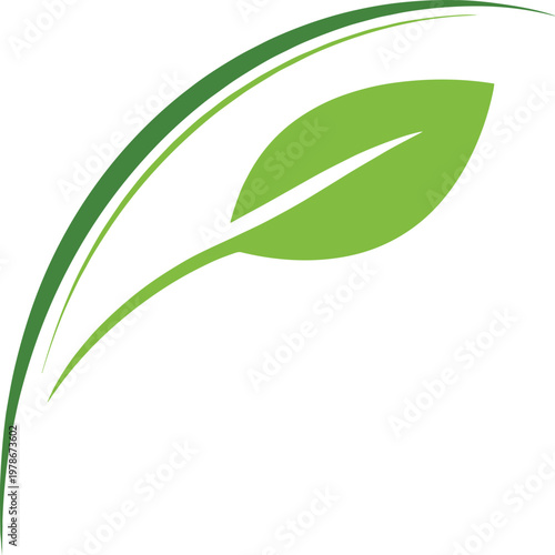 A stylized depiction of a leaf with a gradient stem and vein details