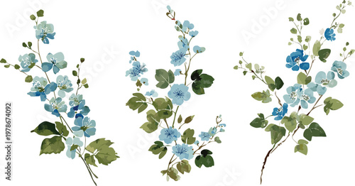 Japanese asian style watercolor painting of blue blossom vines, stylized brush strokes transparent vector digital illustration of botanical flowers, floral drawing chinese ink wash gouache graphic