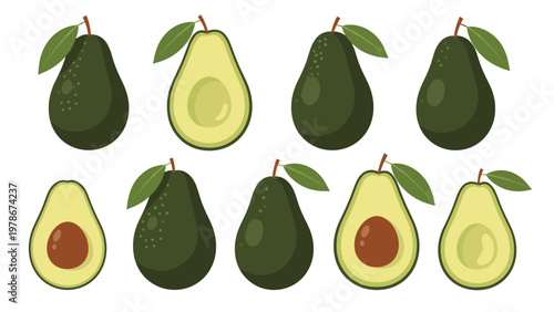 Detailed set of avocado fruit illustrations showing whole fruit and halves with and without pits on a white background.