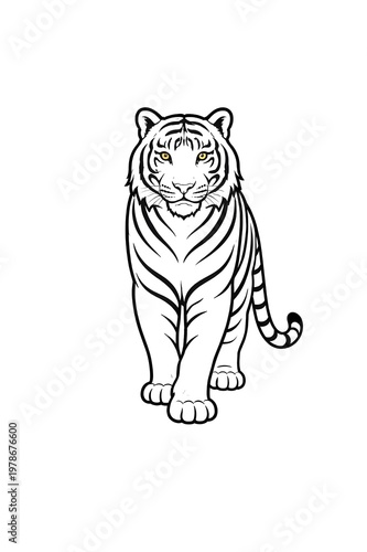 tiger on white background
