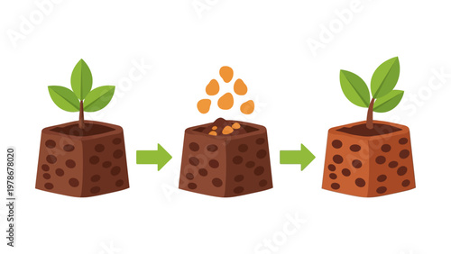Plant growth process vector illustration showing seeds being planted in soil blocks and sprouting leaves for gardening and agriculture
